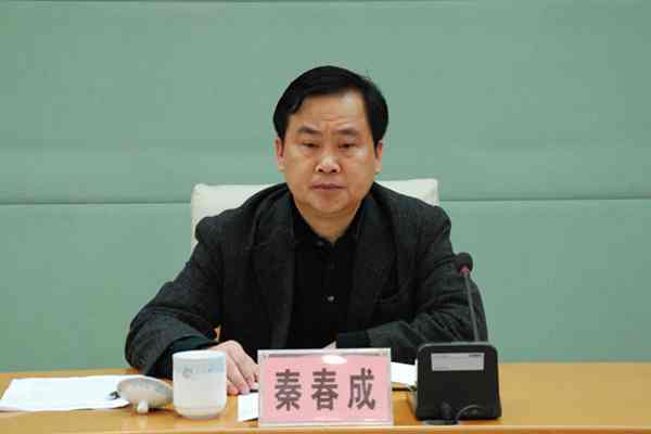 桂林市委常委,常务副市长秦春成出席会议