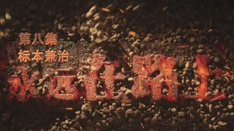 大型电视专题片《永远在路上》第八集《标本兼