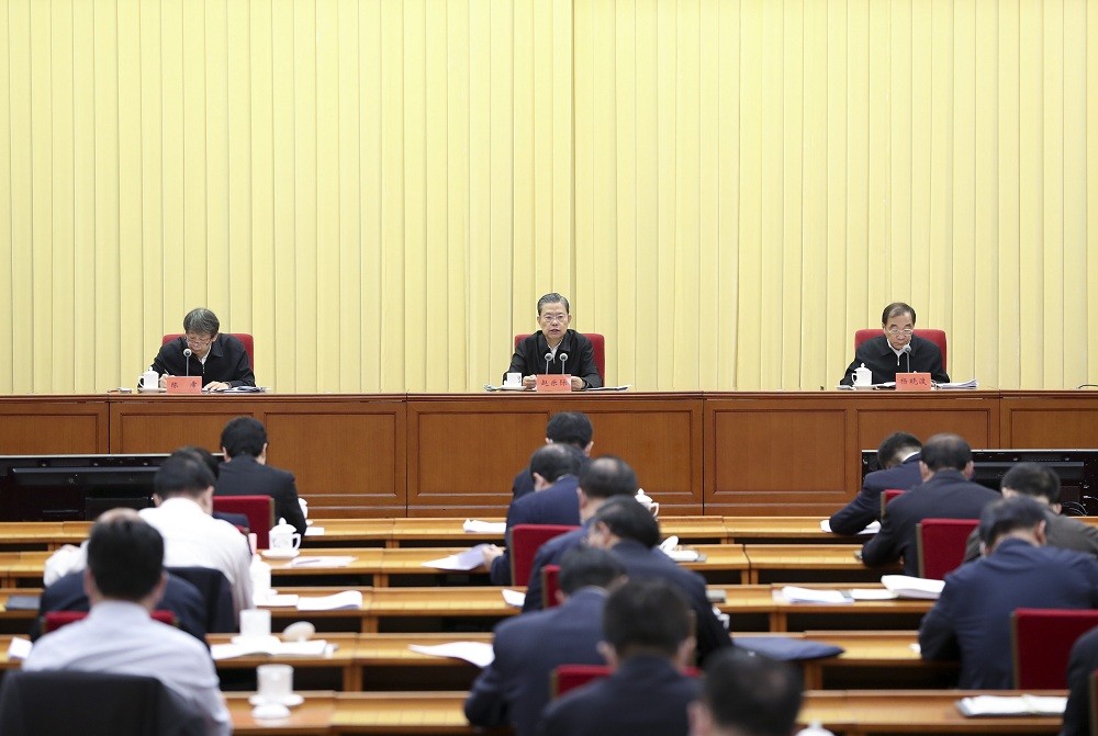 赵乐际：充分发挥巡视监督作用 有力促进全面建成小康社会