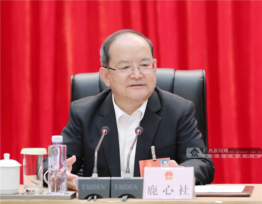 广西代表团学习习近平重要讲话精神
