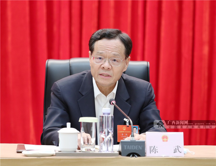 广西代表团学习习近平重要讲话精神