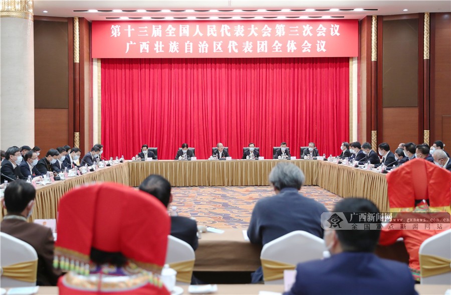 广西代表团学习习近平重要讲话精神