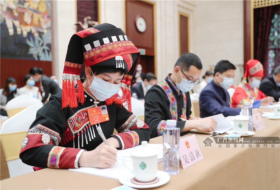 广西代表团学习习近平重要讲话精神