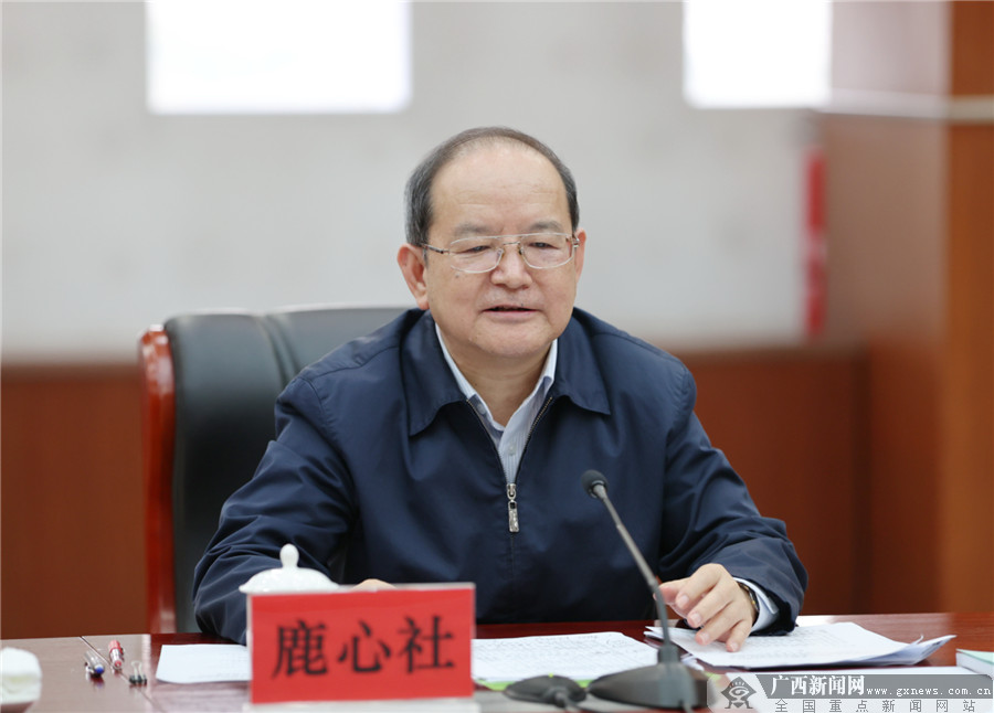 鹿心社参加指导崇左市委常委班子2020年度民主生活会