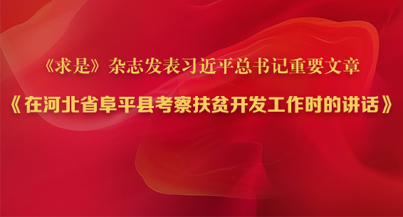 ae41f02794acaa2b5c2bda464bd17193.jpg