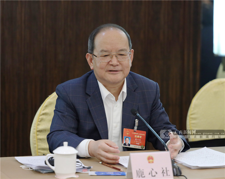 广西代表团分组审查计划报告和预算报告 鹿心社蓝天立孙大伟等参加