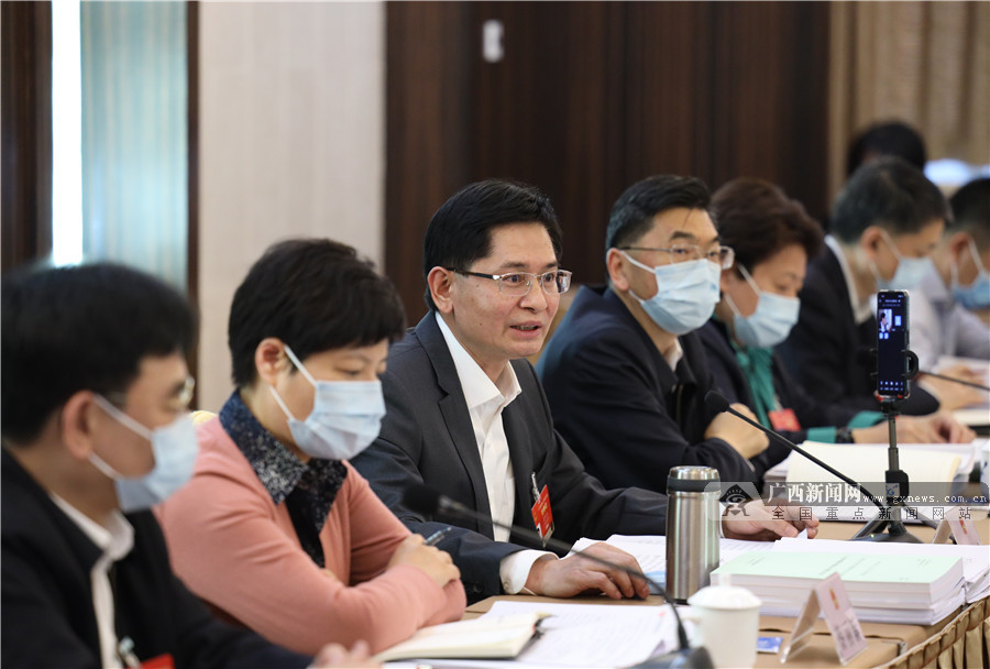 广西代表团分组审查计划报告和预算报告 鹿心社蓝天立孙大伟等参加