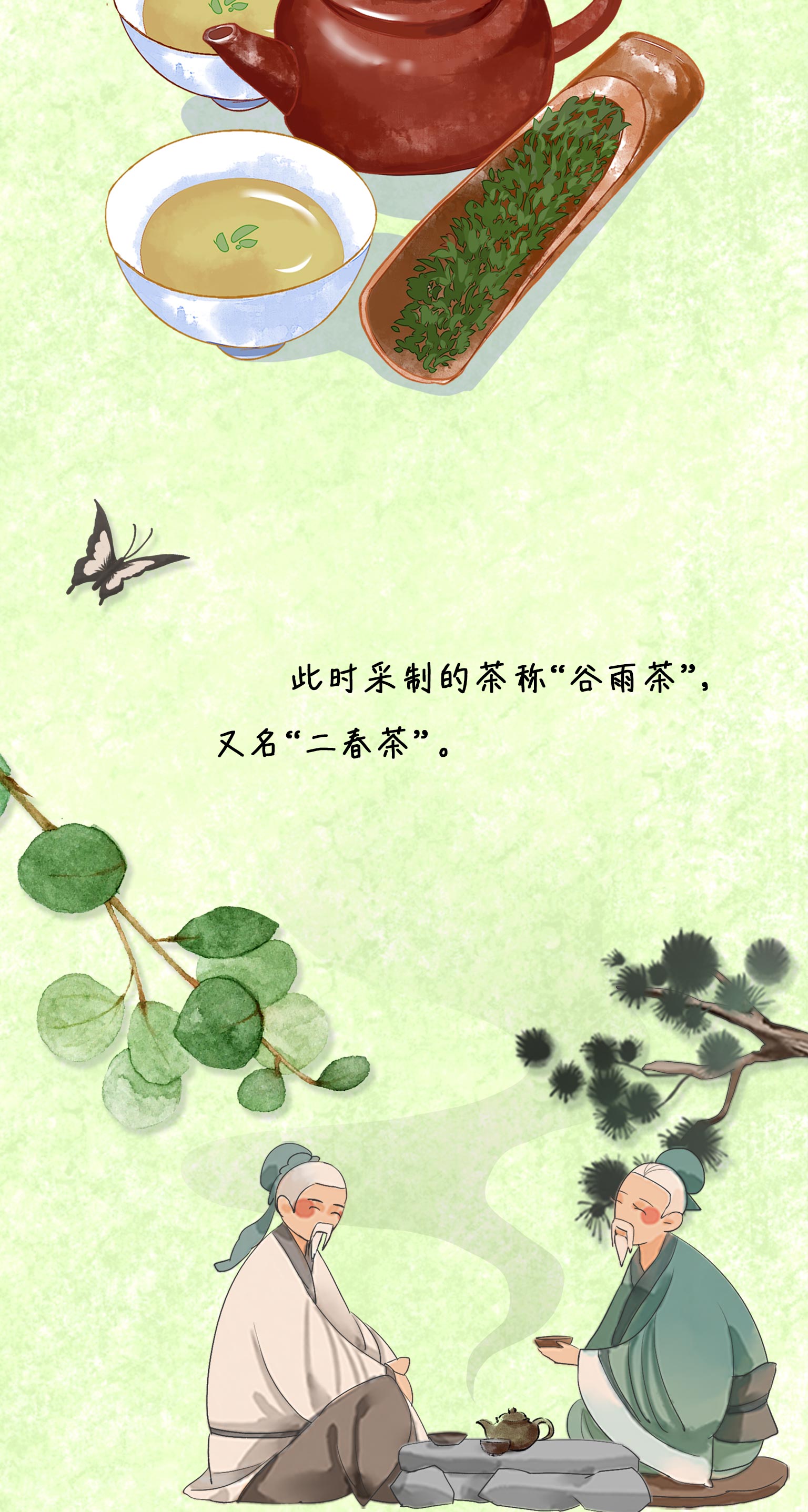 手绘长图丨谷雨一盏茶