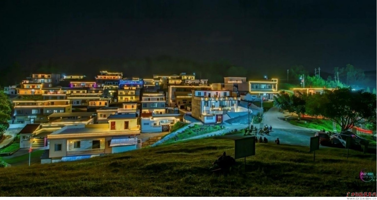 马山县林圩镇大塘村上坛远屯的璀璨夜景.