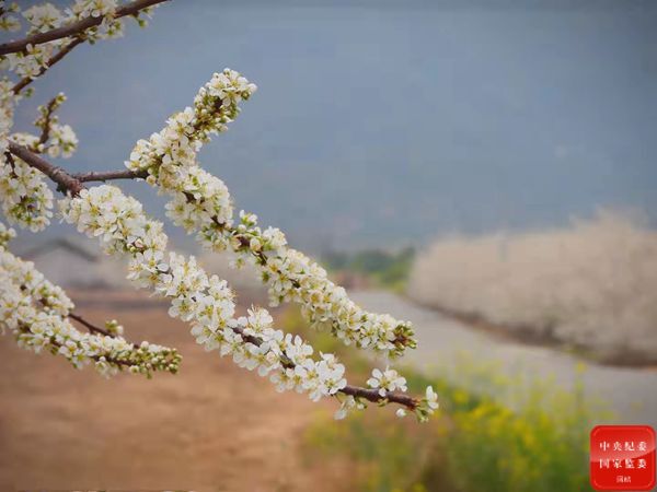 镜头｜立春