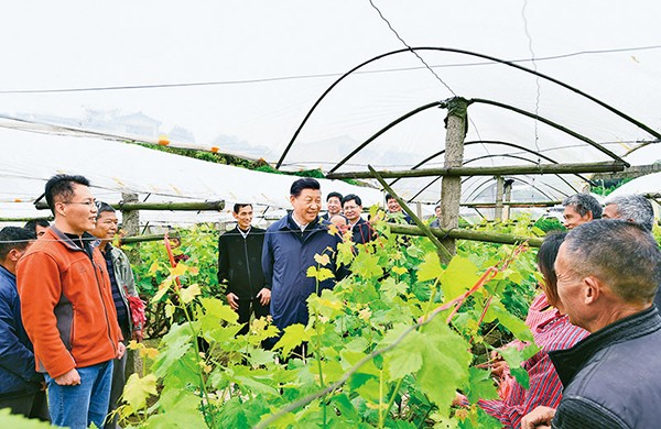《求是》杂志发表习近平总书记重要文章《坚持把解决好“三农”问题作为全党工作重中之重，举全党全社会之力推动乡村振兴》