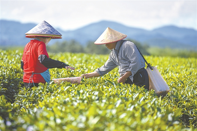 新征程 新思想 新篇章 | 新时代推进共同富裕的重大历史意义