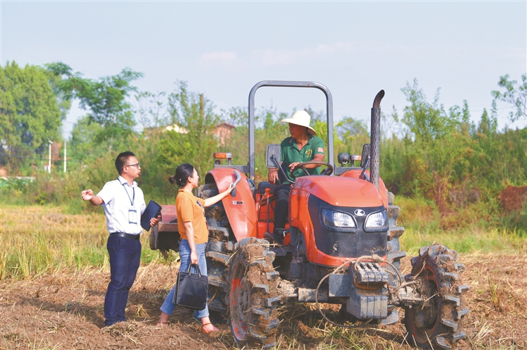 奋进新征程 建功新时代 | 聚焦“国之大者”强化政治监督