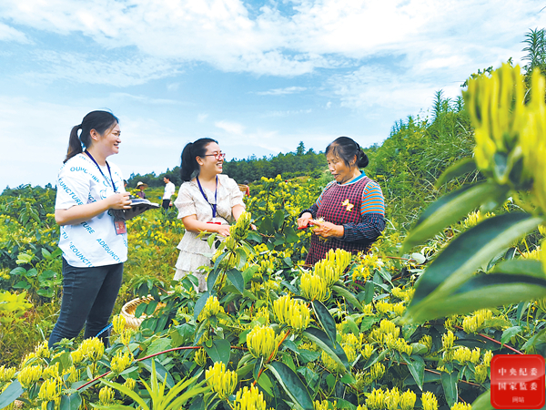 法规建设这十年｜完善制度 推动精准规范问责