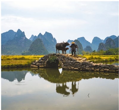 聚力呵护桂林山水