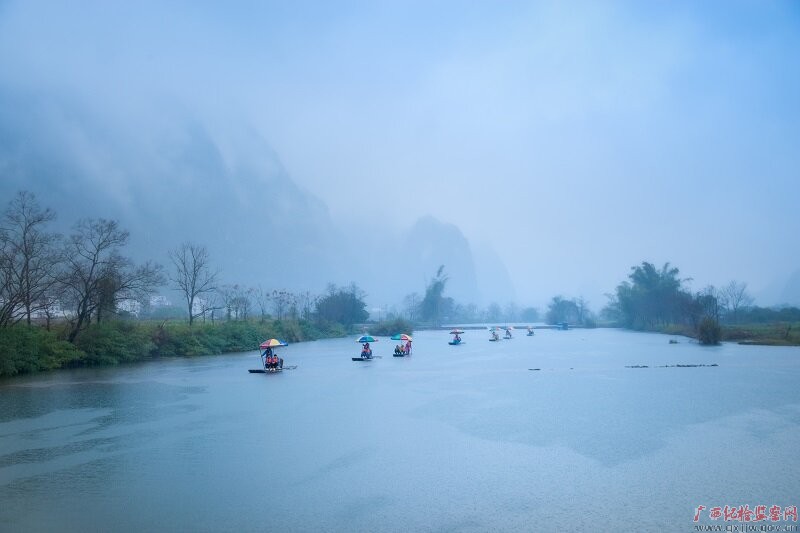 镜头｜春来雨水万物生