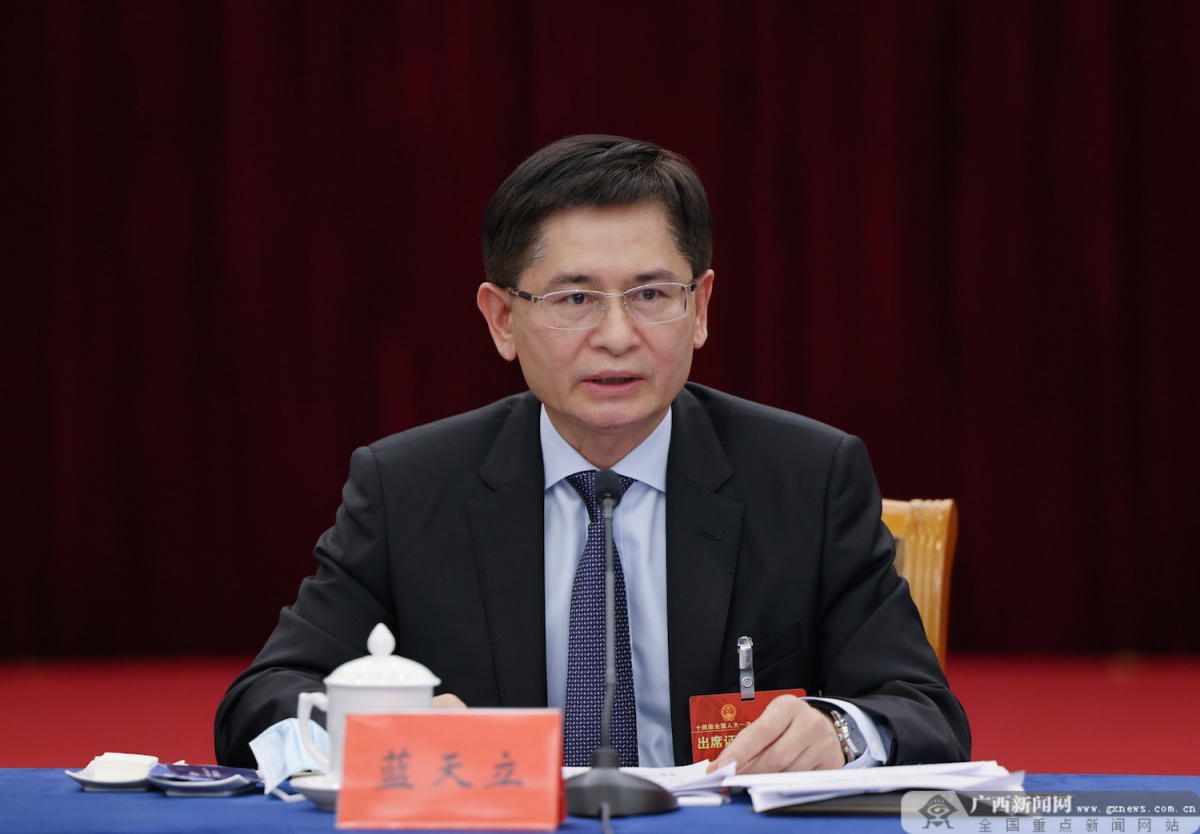 广西代表团审议政府工作报告 王毅刘宁蓝天立鹿心社刘小明等参加