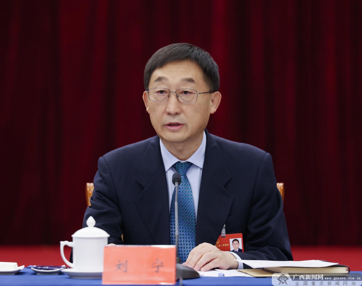 广西代表团审议政府工作报告 王毅刘宁蓝天立鹿心社刘小明等参加