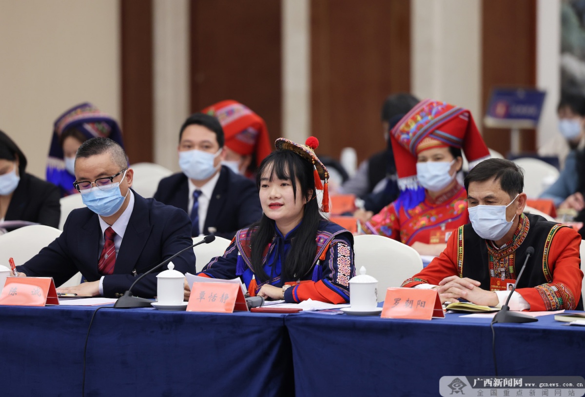 广西代表团审议政府工作报告 王毅刘宁蓝天立鹿心社刘小明等参加