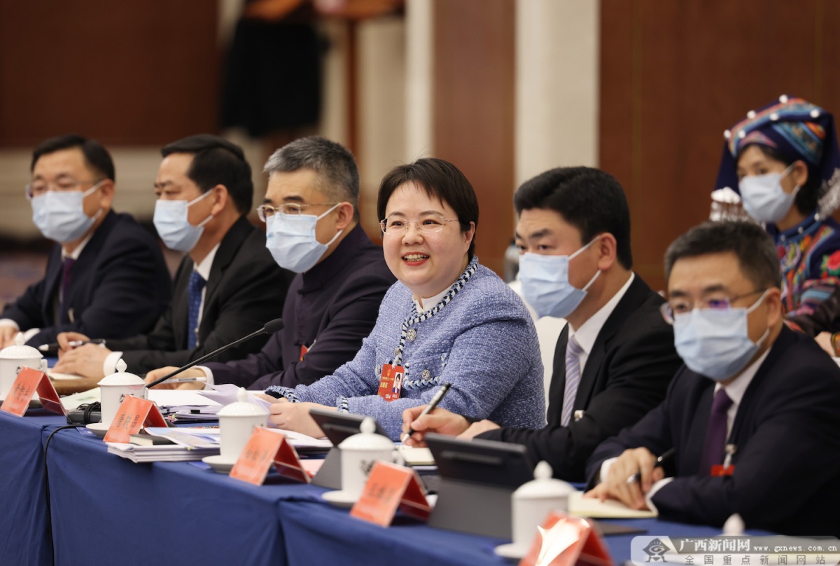 广西代表团审议政府工作报告 王毅刘宁蓝天立鹿心社刘小明等参加