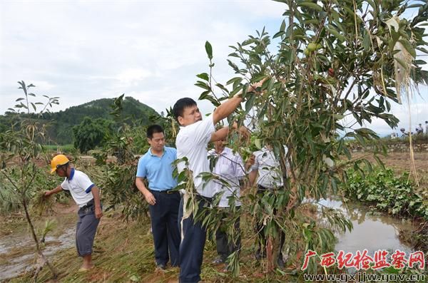 武宣纪检干部下村抗洪救灾