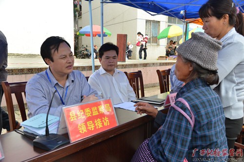 东兰开展公开接访 践行群众路线