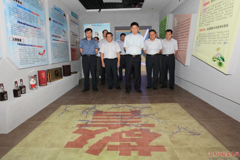 中央第九巡回督导组调研玉林市警示教育工作