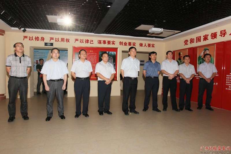 中央第九巡回督导组调研玉林市警示教育工作