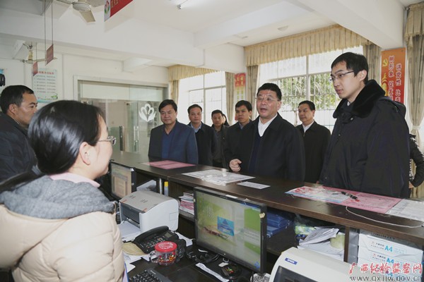 邓卫平在田东、平果两县调研时强调：敢于负责  勇于担当  以实际举措落实“两个责任”
