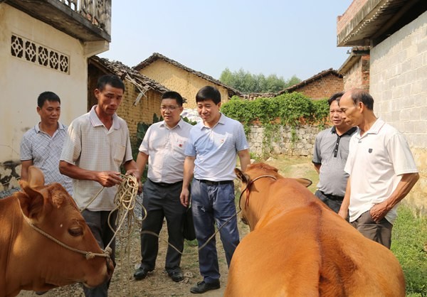 أ鰵 ΪƶỤ