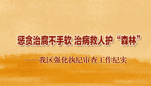 ǿִ鹤ʵ