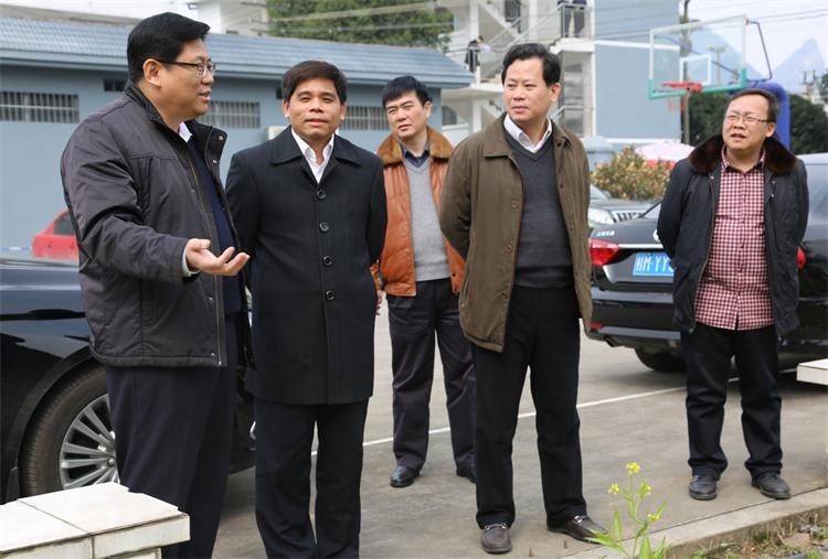 自治区纪委监委领导到河池市检查指导工作-广西纪检监察网