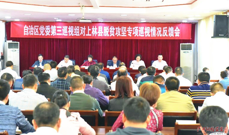 自治区党委第三巡视组向上林县委反馈巡视情况