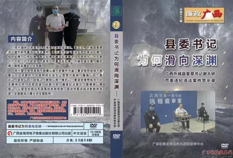 《县委书记为何滑向深渊——广西忻城县委原书记谢大研严重违纪违法警示录》