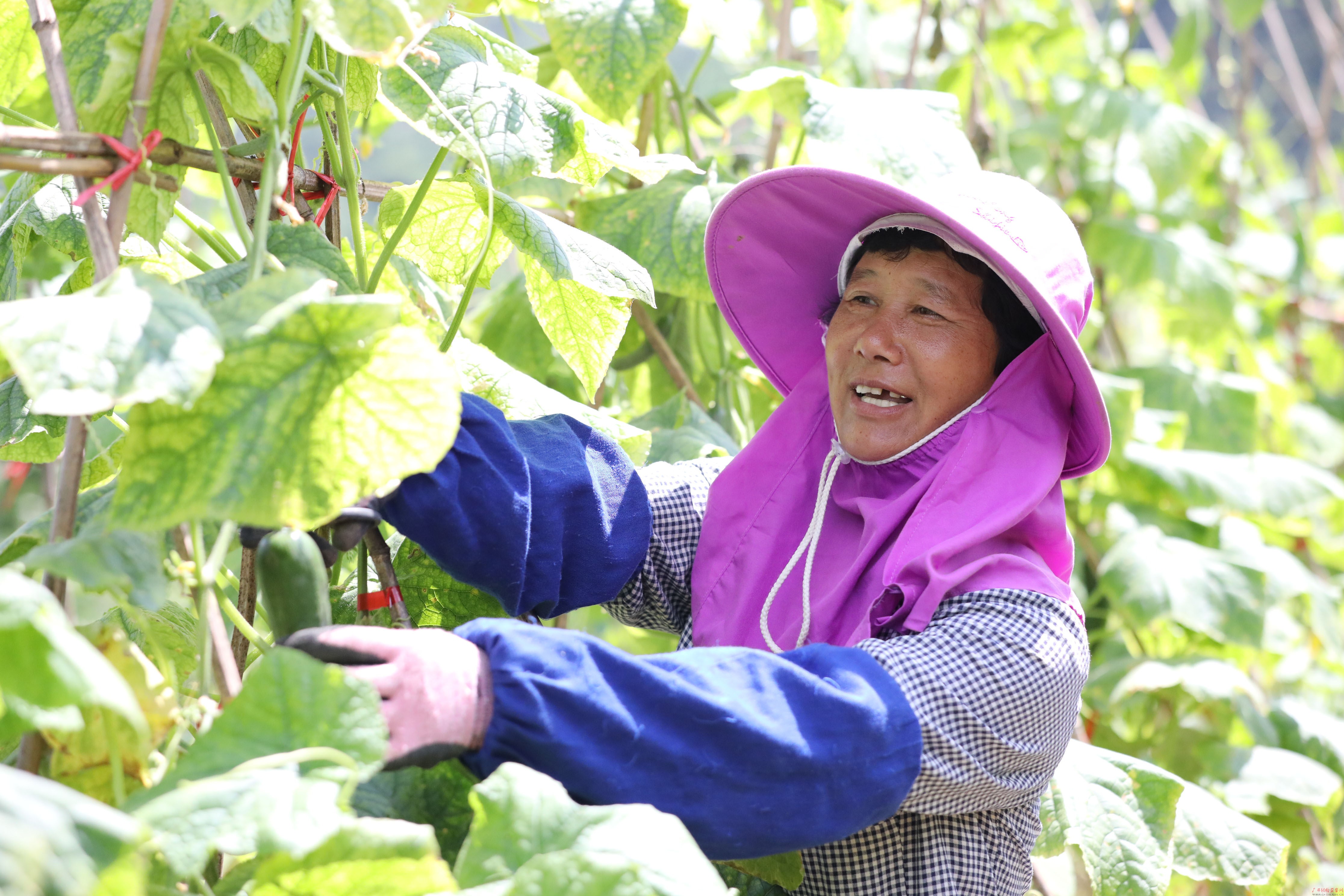 多措并举拔“穷根” 脱贫攻坚显成效——桂林市灵川县潮田乡南圩村脱贫记