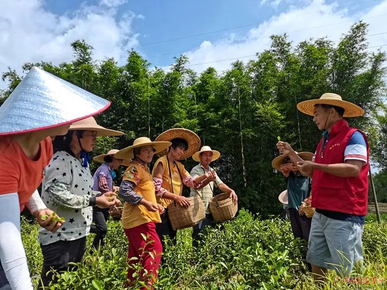 为民守初心 退伍不褪色——记全国脱贫攻坚先进个人、桂平市南木镇龙门村驻村第一书记郑崇杰