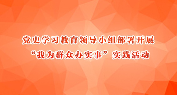 ʷѧϰ쵼С鲿չΪȺڰʵ¡ʵ