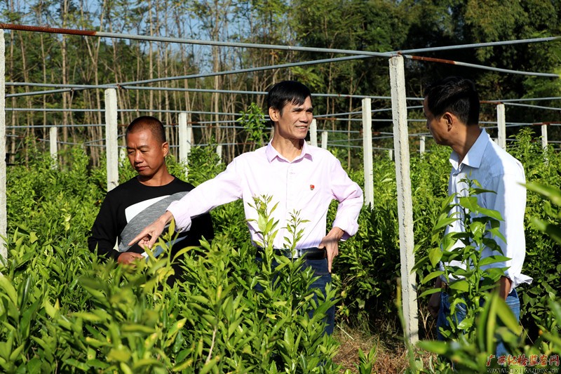 立下愚公志 兑现瑶乡小康梦——记广西勤廉榜样、恭城瑶族自治县政法委四级调研员蒋佳刚
