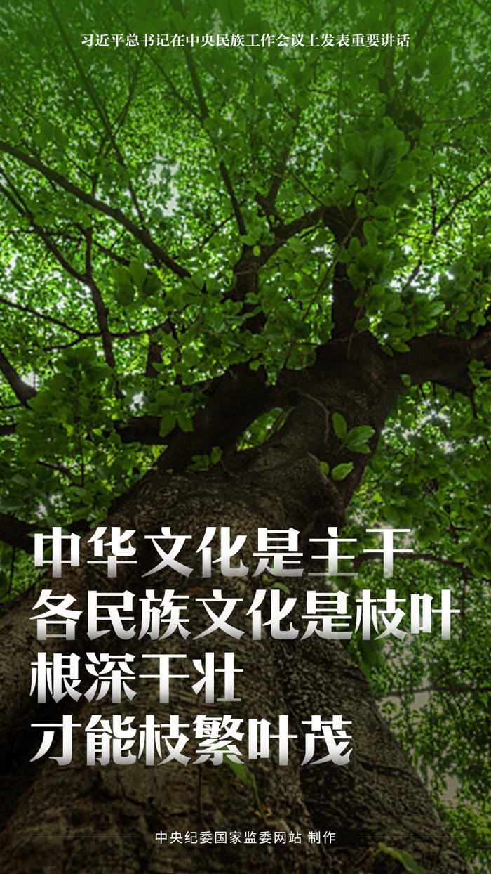 л干ͬʶΪ ƶʱ幤չ