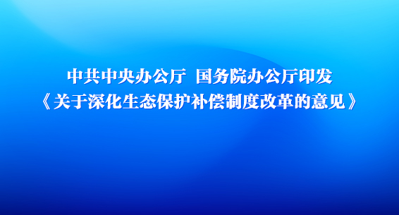 й칫 Ժ칫ӡ̬ƶȸĸ
