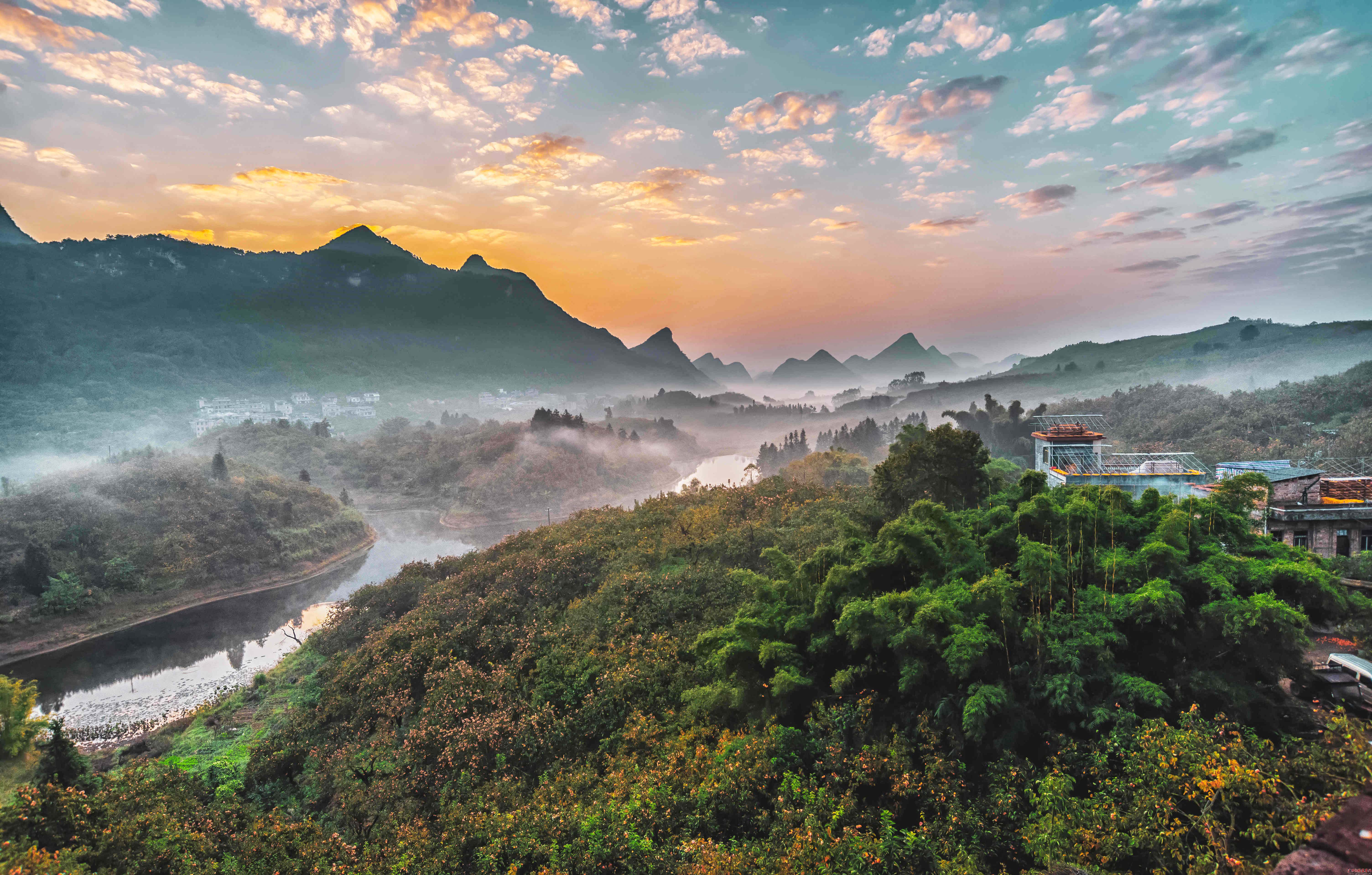 镜头丨金秋九月 丹桂飘香