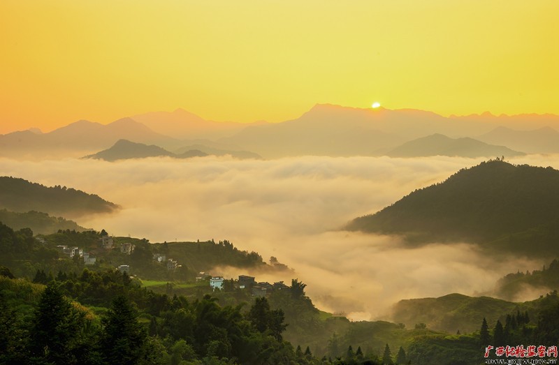 镜头|露为霜 秋色尽