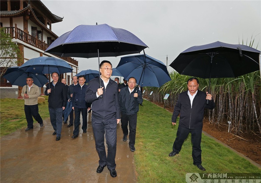刘宁在来宾柳州调研