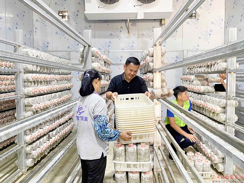 镜头丨推动电商发展助力乡村振兴