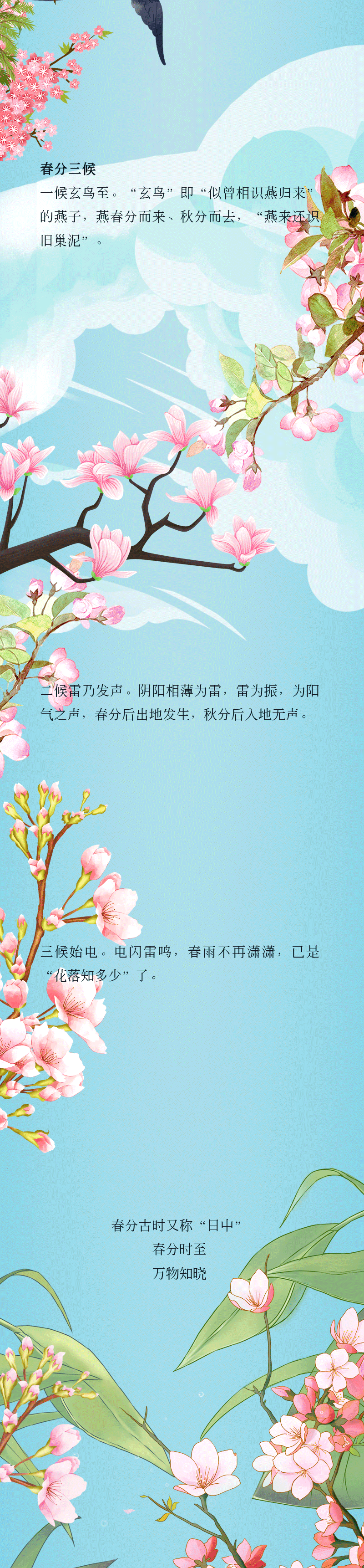ֻ涯ͼ򴺷֣ӯ Ǭ