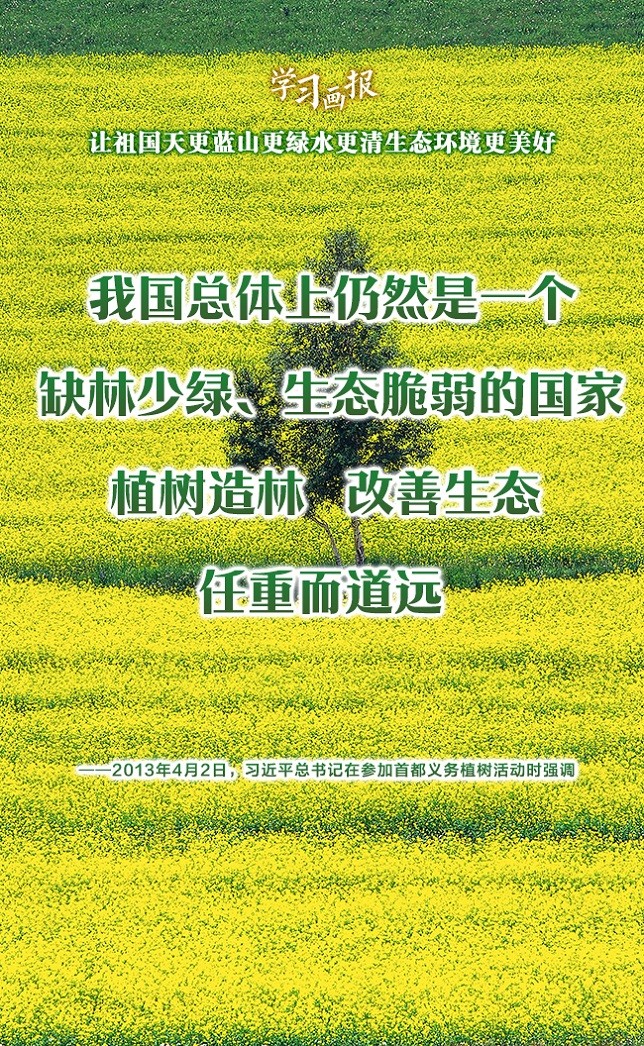 ѧϰ | ɽˮ̬
