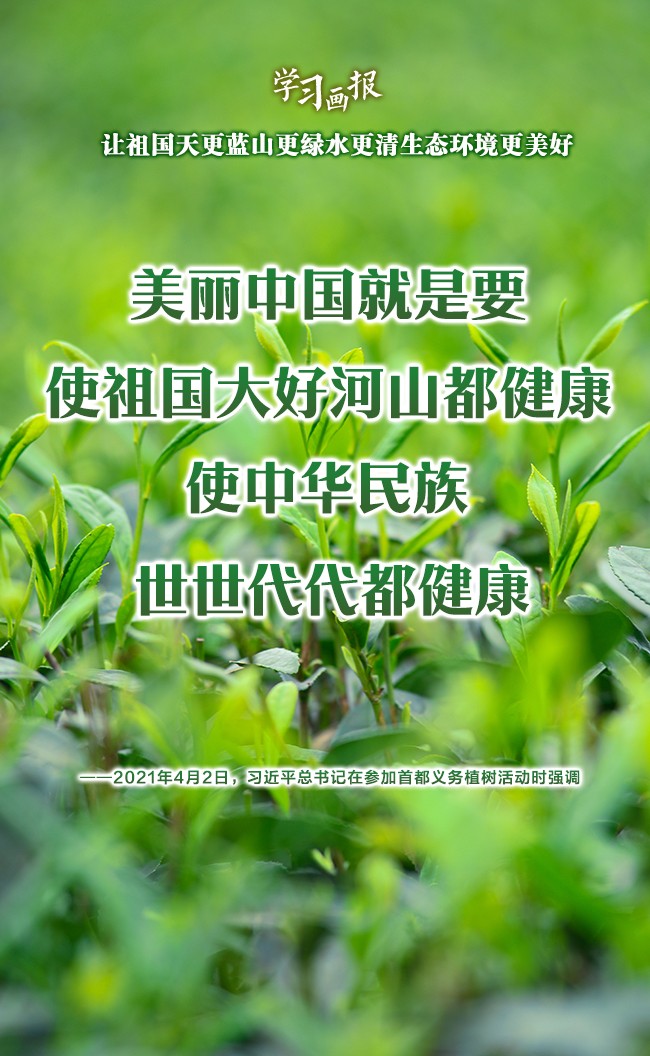 ѧϰ | ɽˮ̬