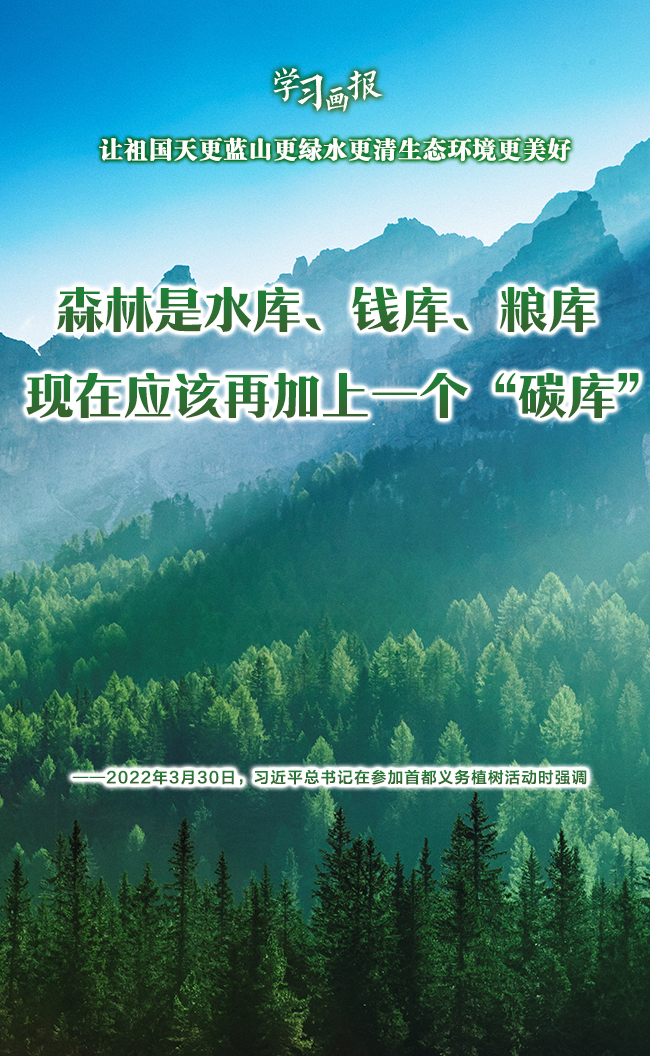 ѧϰ | ɽˮ̬