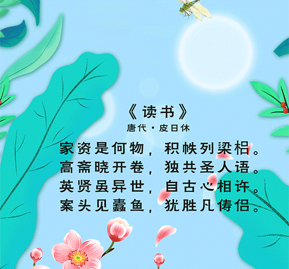 ö鹲