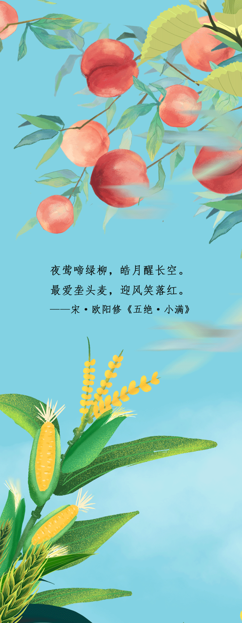 ֻ涯ͼСӯ 嵭